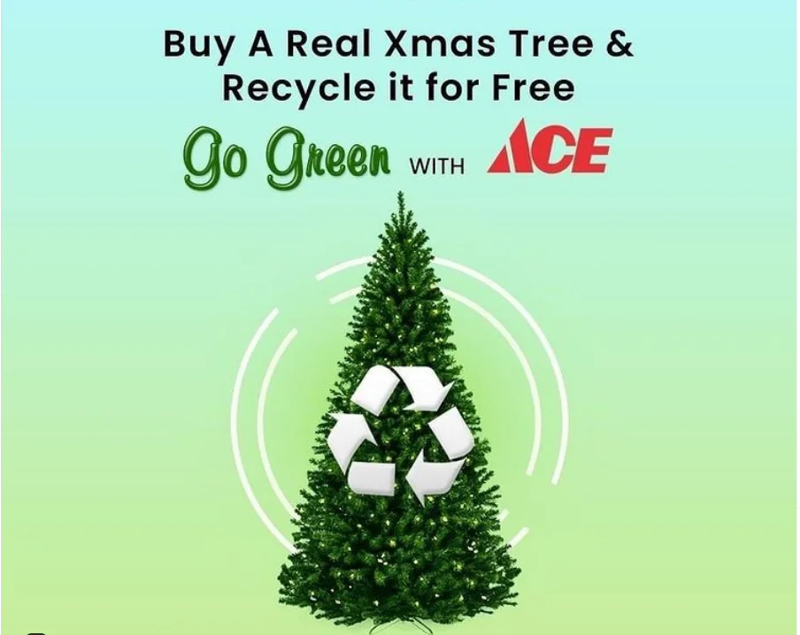 go green with Ace UAE