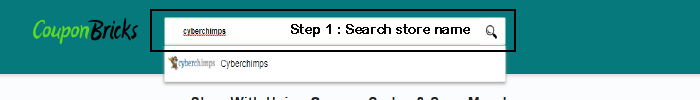 cyberchimps-store-search